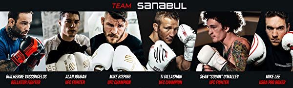 Team Sanabul MMA UFC Fighters